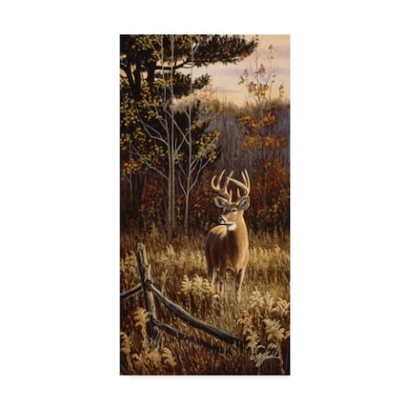 Wilhelm Goebel 'Autumn Whitetail' Canvas Art,24x47